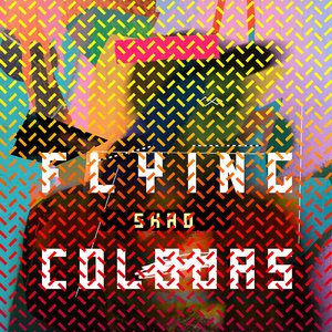 Image for 'Flying Colours'