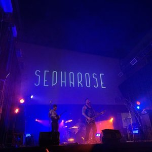 “Sepharose”的封面