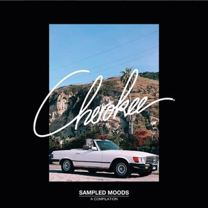 Image for 'Sampled Moods'