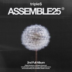 '<ASSEMBLE25>'の画像