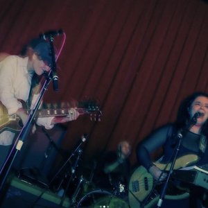 “Dogs on Shady Lane”的封面