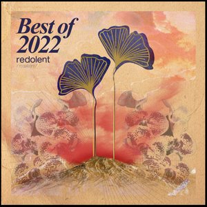 'Best of 2022 (Extended Mixes)' için resim