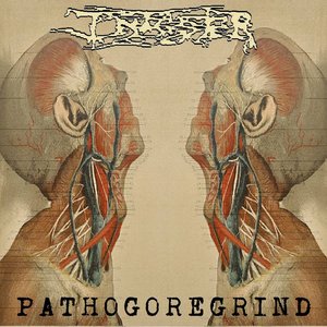 Image for 'Pathogoregrind'
