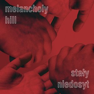 Image for 'Stały Niedosyt'