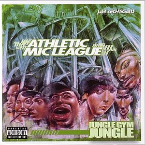 Image for 'Jungle Gym Jungle'