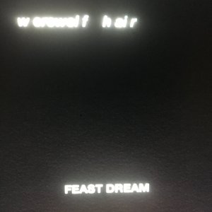 Image for 'feast dream'