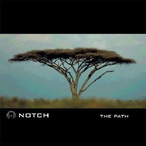 “The path”的封面