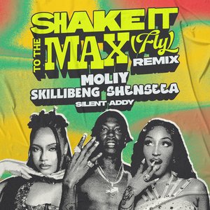 'Shake It To The Max (FLY) (Remix)' için resim