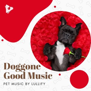 Image for 'Doggone Good Music'