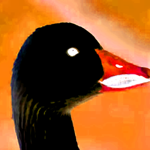 Matt-_