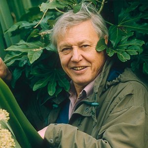 'David Attenborough'の画像