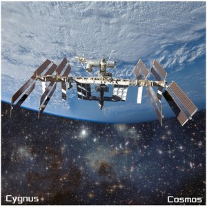 'Cosmos'の画像
