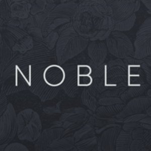 Image for 'The Noble Demon'