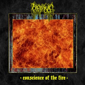 Bild für 'Conscience of the Fire'