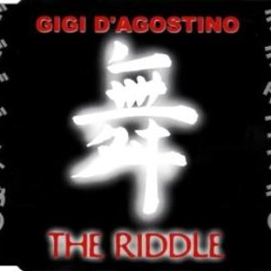 “The Riddle”的封面