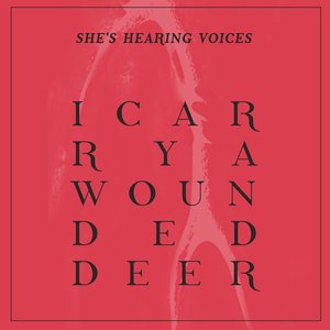 “I Carry A Wounded Deer”的封面