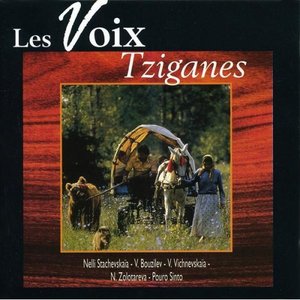 Изображение для 'Gipsy World Vol. 1: The Best Of Voices (Les Voix Tziganes)'