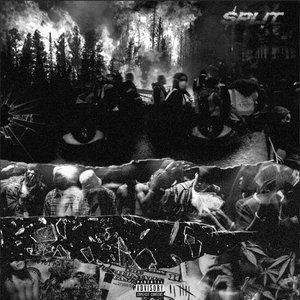 “Split”的封面