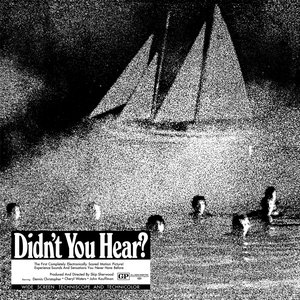 Image for 'Didn't You Hear?'