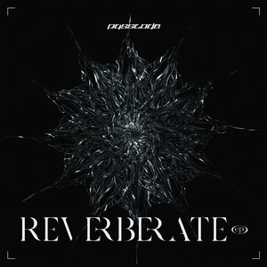 'REVERBERATE ep.'の画像