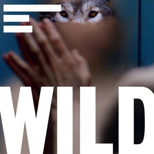 Image for 'Wild Soundtrack'