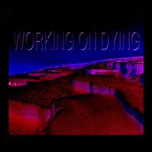 Image for 'WORKING ON DYING 2'
