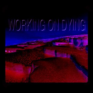 'WORKING ON DYING 2' için resim
