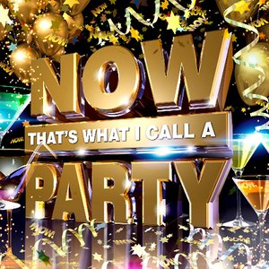 Immagine per 'Now That's What I Call A Party'