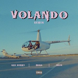 “Volando (Remix)”的封面