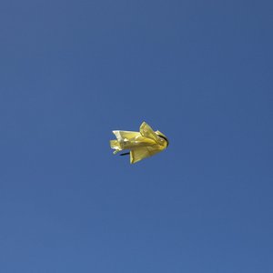 Image for 'Showoff'