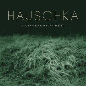 Image for 'A Different Forest'