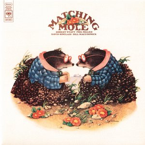 “Matching Mole”的封面