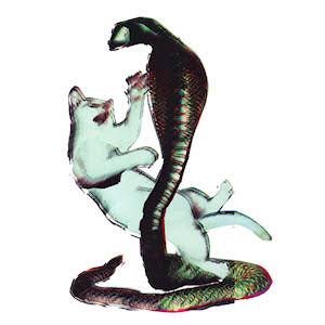 'Cat and the Cobra'の画像