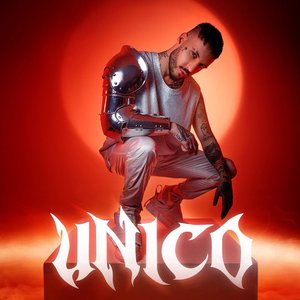 Image for 'Unico'