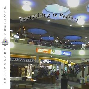 Image for 'Everything is Perfect'