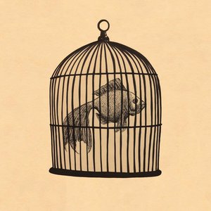 Image for 'Fish in a Birdcage'