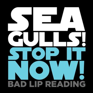 Image for 'Seagulls! (Stop it Now)'