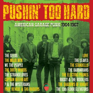 Imagen de 'Pushin' Too Hard (American Garage Punk 1964-67)'