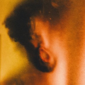Image for 'IN THE FLESH'