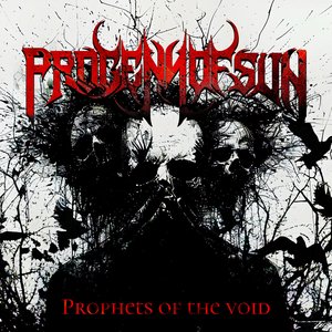 Image for 'Prophets of the Void'