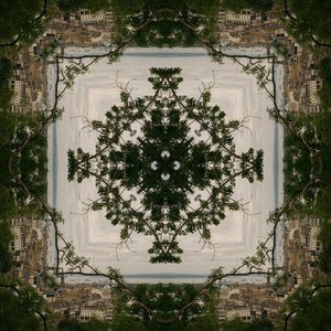 Image for 'Illusions'