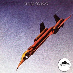 “Squawk (2013 Remaster)”的封面