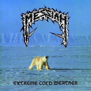 Image pour 'Extreme Cold Weather'