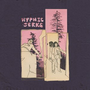 Image for 'hypnic jerks'