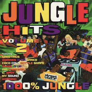 'Jungle Hits, Vol. 2'の画像