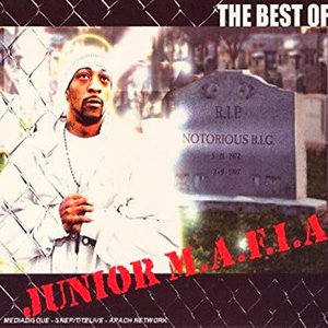 Image for 'The Best of Junior M.A.F.I.A.'