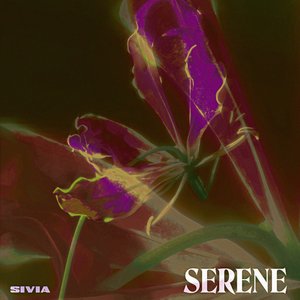 Image for 'Serene'