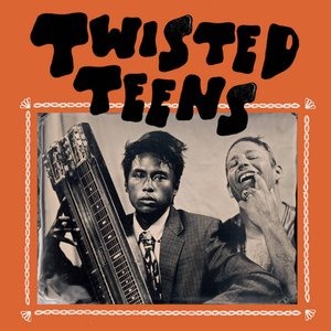 Image for 'twisted teens'