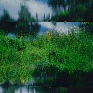Image for 'White birch burns'