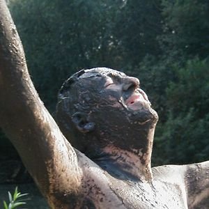 Image for 'Elias Schwerdtfeger'